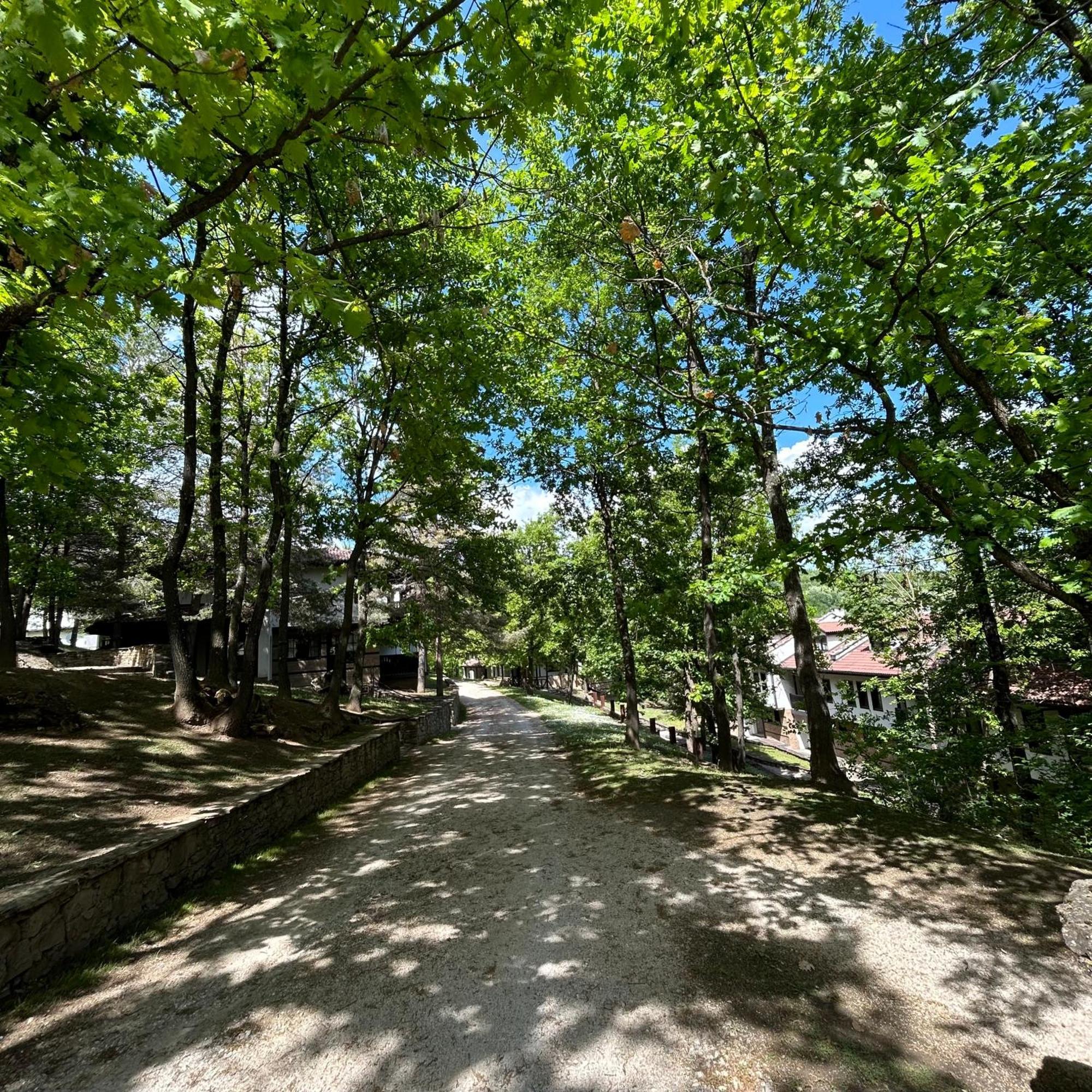 Геша Форест Dryanovo Exterior photo